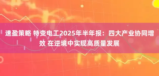 速盈策略 特变电工2025年半年报：四大产业协同增效 在逆境中实现高质量发展